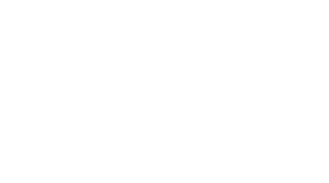 VISD
